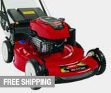 Shop for gas walk-behind mowers
