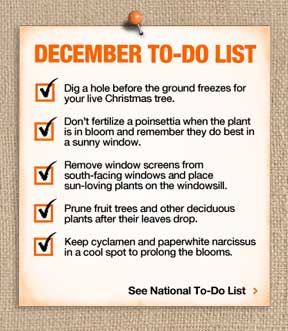 To-Do List brought to you by the Garden Club