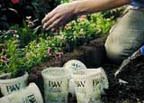 Recycle your plant trays and plant pots at The Home Depot