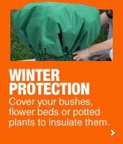 Winter Protection