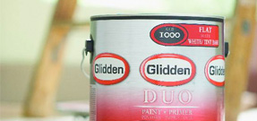 Learn How Glidden® DUO™ can Transform a Room
