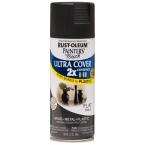 12 oz. Flat Black General Purpose Spray