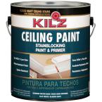 1-Gallon Flat Ceiling Paint and Primer