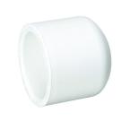 3/4 in. PVC Cap