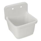 Sudbury 20 in. x 22 in. Vitreous China Wall-Mount Service Sink in White