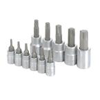 11-Piece 1/4 in. and 3/8 in. Torx Set
