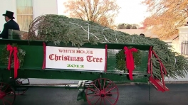 The First Lady Receives the 2012 White House Christmas Tree