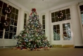 Holidays at the White House 2012: The Gold Star Family Tree