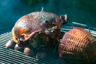 Meat - Smoked Turkey and Ham