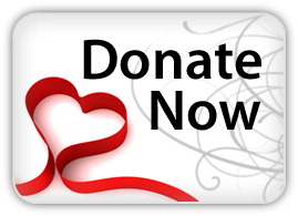 Donate now button- white