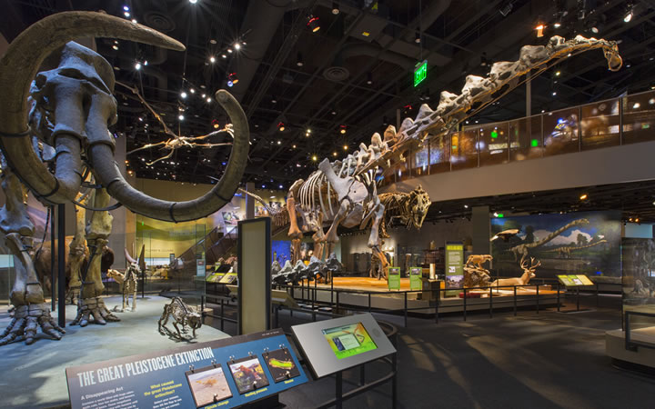 Perot Museum of Nature and Science