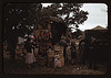 Fruit wagon at the Pie Town, New Mexico Fair. There is no fruit grown in this section and the people depend on outside truckers to bring it in (LOC) by The Library of Congress