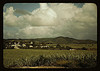 Sugar cane country, the Virgin Islands (LOC) by The Library of Congress