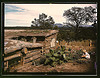 Garden adjacent to the dugout home of Jack Whinery, homesteader, Pie Town, New Mexico (LOC) by The Library of Congress