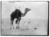 In the Sahara (LOC) by The Library of Congress