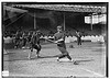 [Marty Berghammer, Cincinnati NL (baseball)] (LOC) by The Library of Congress
