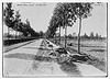 Road from Diest to Haelen (LOC) by The Library of Congress
