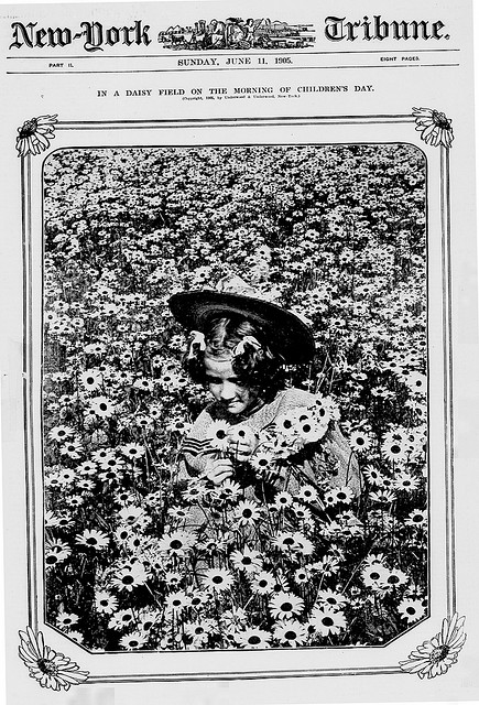 In a daisy field on the morning of Children's Day (LOC)