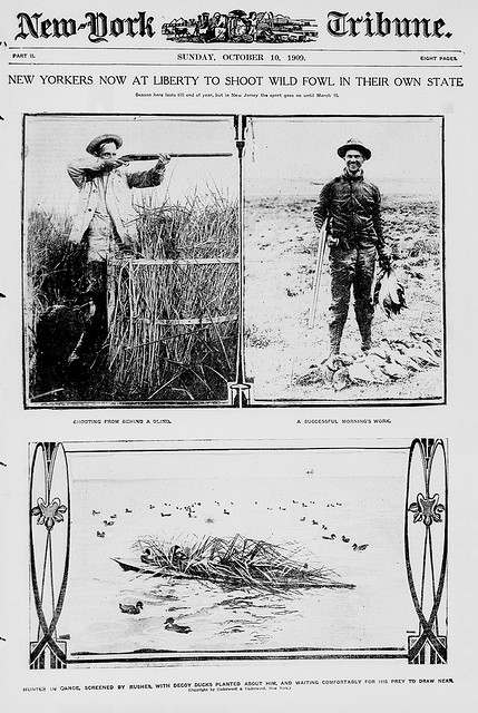New Yorkers now at liberty to shoot wild fowl in their own state (LOC)