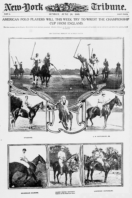American polo players will this week try to wrest the champion cup from England (LOC)