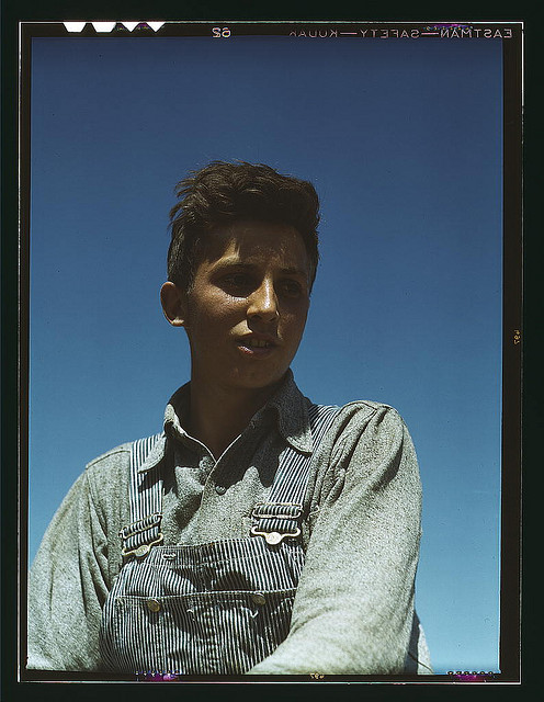 Portrait of a farm boy (LOC)