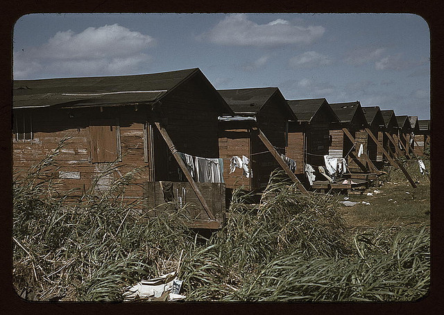 Houses which have been condemned by the Board of Health but are still occupied by Negro migratory workers, Belle Glade, Fla. (LOC)