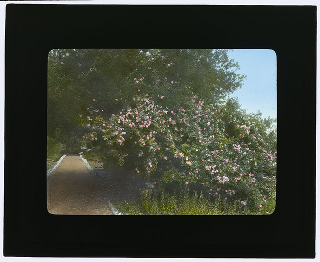 "Arcady," George Owen Knapp house, Sycamore Canyon Road, Montecito, California. (LOC)