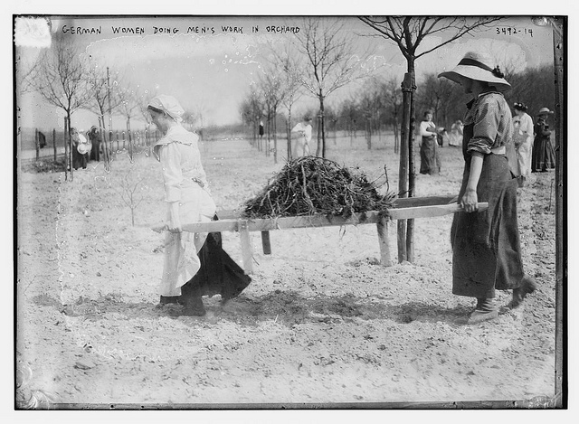 German women doing men's work in orchard  (LOC)