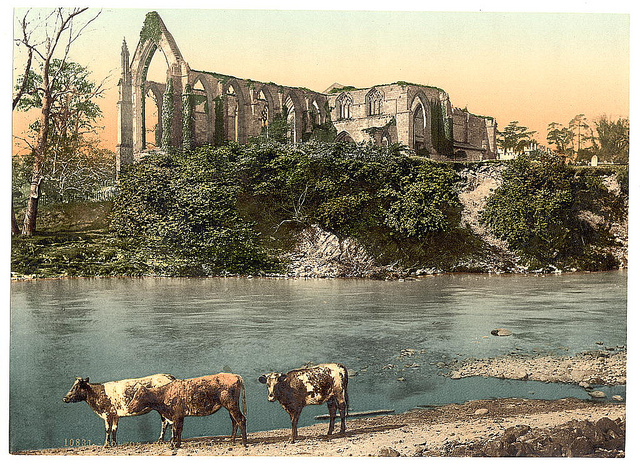 [Abbey from the river, Bolton Abbey, England]  (LOC)