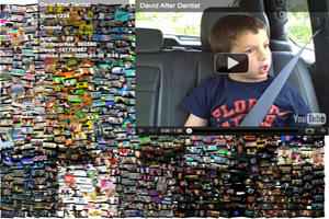 Video feeds