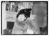 Mrs. J.L. DeSavlles (LOC) by The Library of Congress