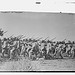 Feds at Torreon (LOC)