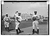 [Harry Wolverton & Bob E. Williams, New York AL (baseball)] (LOC) by The Library of Congress