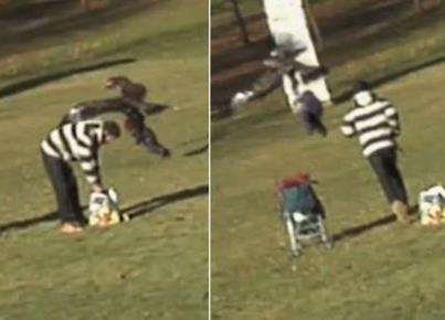 Photo: Kidnapper from the skies: The terrifying moment a golden eagle swooped down and snatched up a toddler as he played in park

Click through to watch the video: http://bit.ly/YjEirN