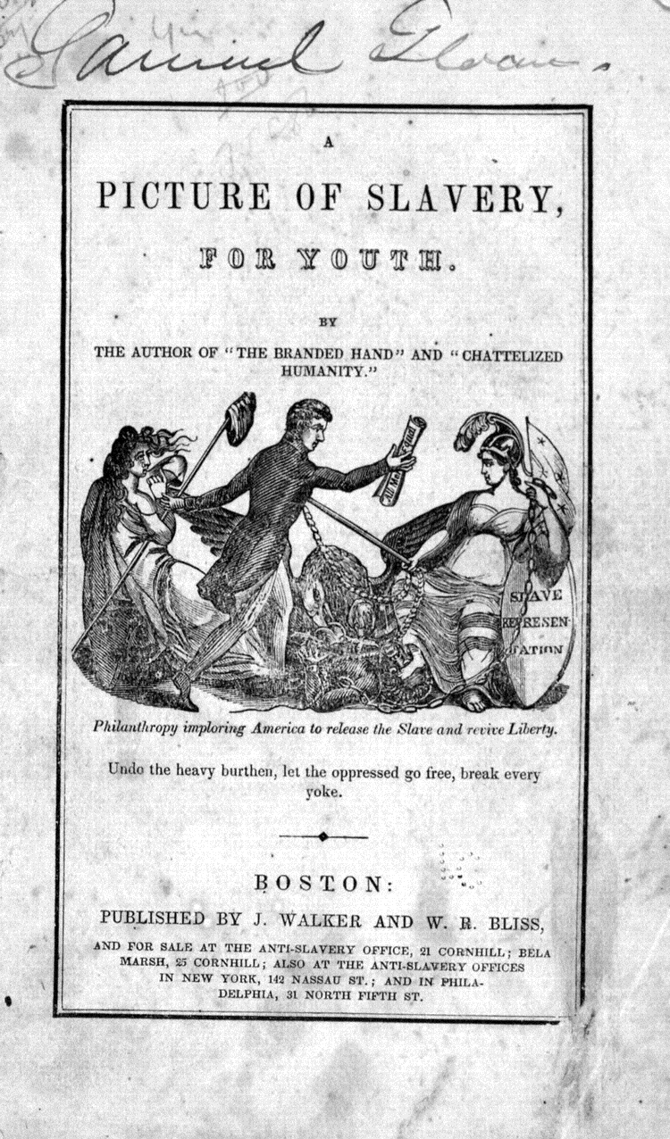 , A picture of slavery, for youth.