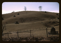 Field of a mountain farm along the Skyline Drive in Virginia (LOC)