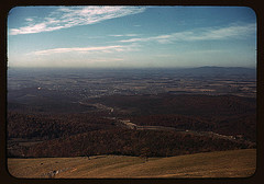 [Valley along the Skyline Drive in Virginia] (LOC)