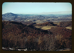 [Mountains along the Skyline Drive in Virginia] (LOC)