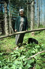 A woman standing in a patch of ramps.