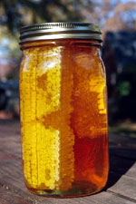 Close-up view of a jar of honey and honey comb.