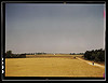 Landscape on the Jackson farm, vicinity of White Plains, Ga. (LOC) by The Library of Congress