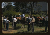 Mountaineers and farmers trading mules and horses on "Jockey St.," near the Court House, Campton, Wolfe County, Ky. (LOC) by The Library of Congress