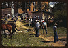 Mountaineers and farmers trading mules and horses on "Jockey St.," near the Court House, Campton, Wolfe County, Ky. (LOC) by The Library of Congress