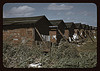 Houses which have been condemned by the Board of Health but are still occupied by Negro migratory workers, Belle Glade, Fla. (LOC) by The Library of Congress