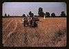 Harvesting oats, southeastern Georgia? (LOC) by The Library of Congress