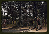 A Fourth of July celebration, St. Helena's Island, S.C. (LOC) by The Library of Congress