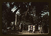 Fourth of July picnic by a group of Negroes, St. Helena Island, S.C. (LOC) by The Library of Congress