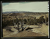Landscape, Northeast Utah (LOC) by The Library of Congress