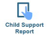Child Support Report