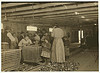 Four-year-old Mary, who shucks two pots of oysters a day at Dunbar. Tends the baby when not working ... Location: Dunbar, Louisiana (LOC) by The Library of Congress